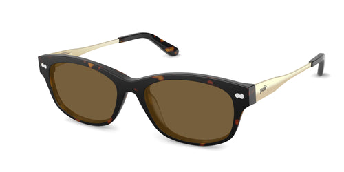 The Addison - Tortoise Acetate Gold Metal Sun