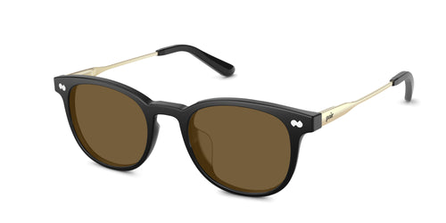 The Reese - Black Acetate Gold Metal Sun