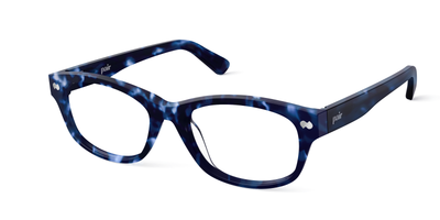 blue tortoise