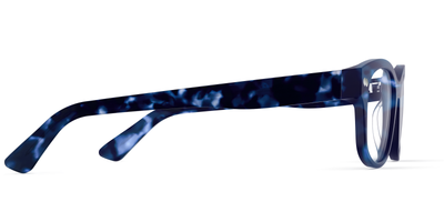 blue tortoise