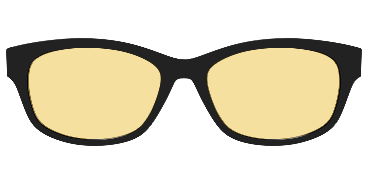 The Black With Citrine Yellow Lens - Front Top Image - Pair Eyewear