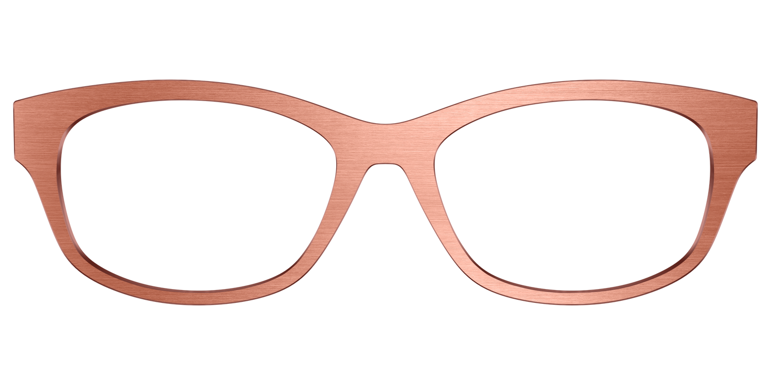 The Brushed Champagne - Front Top Image - Pair Eyewear