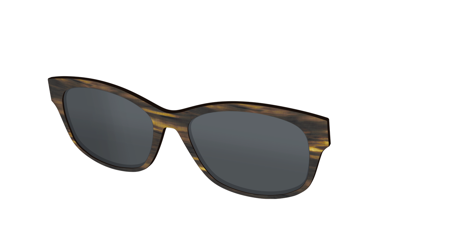 The Polarized Horn Sun Top - Angle Top Image - Pair Eyewear