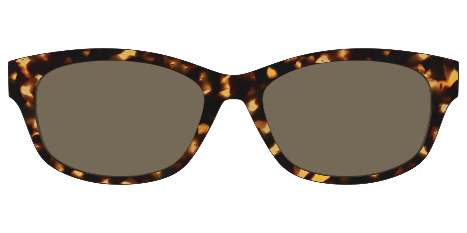 The Non-Polarized Tortoise Sun Top - Front Top Image - Pair Eyewear