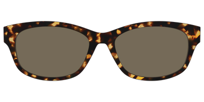 The Non-Polarized Tortoise Sun Top - Front Top Thumbnail - Pair Eyewear