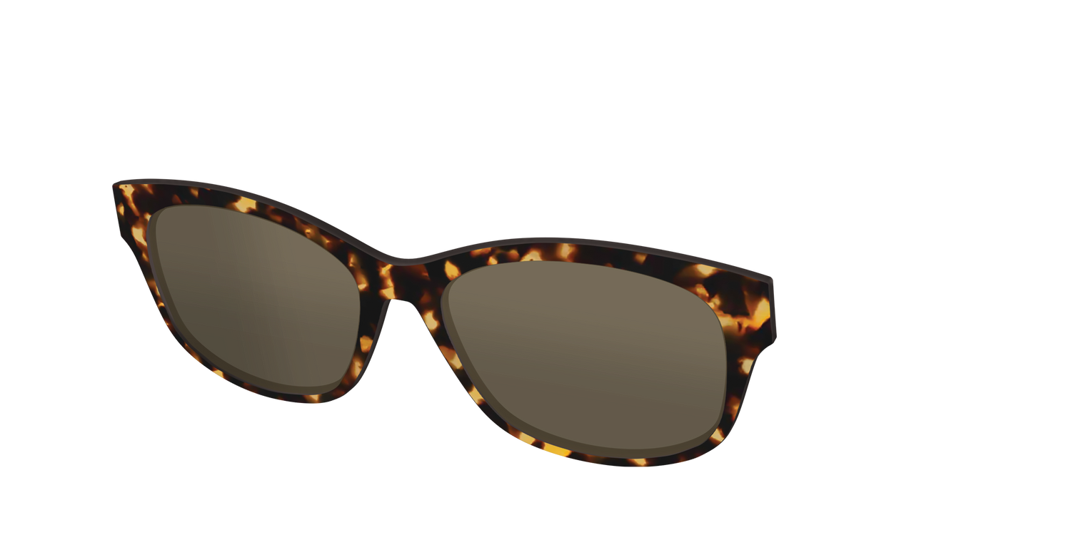 The Non-Polarized Tortoise Sun Top - Angle Top Image - Pair Eyewear