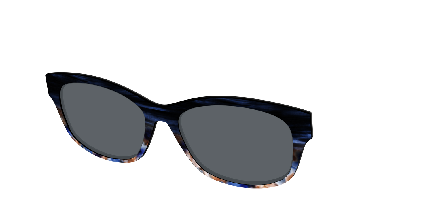 The Polarized Blue Horn Tortoise Sun Top - Angle Top Image - Pair Eyewear