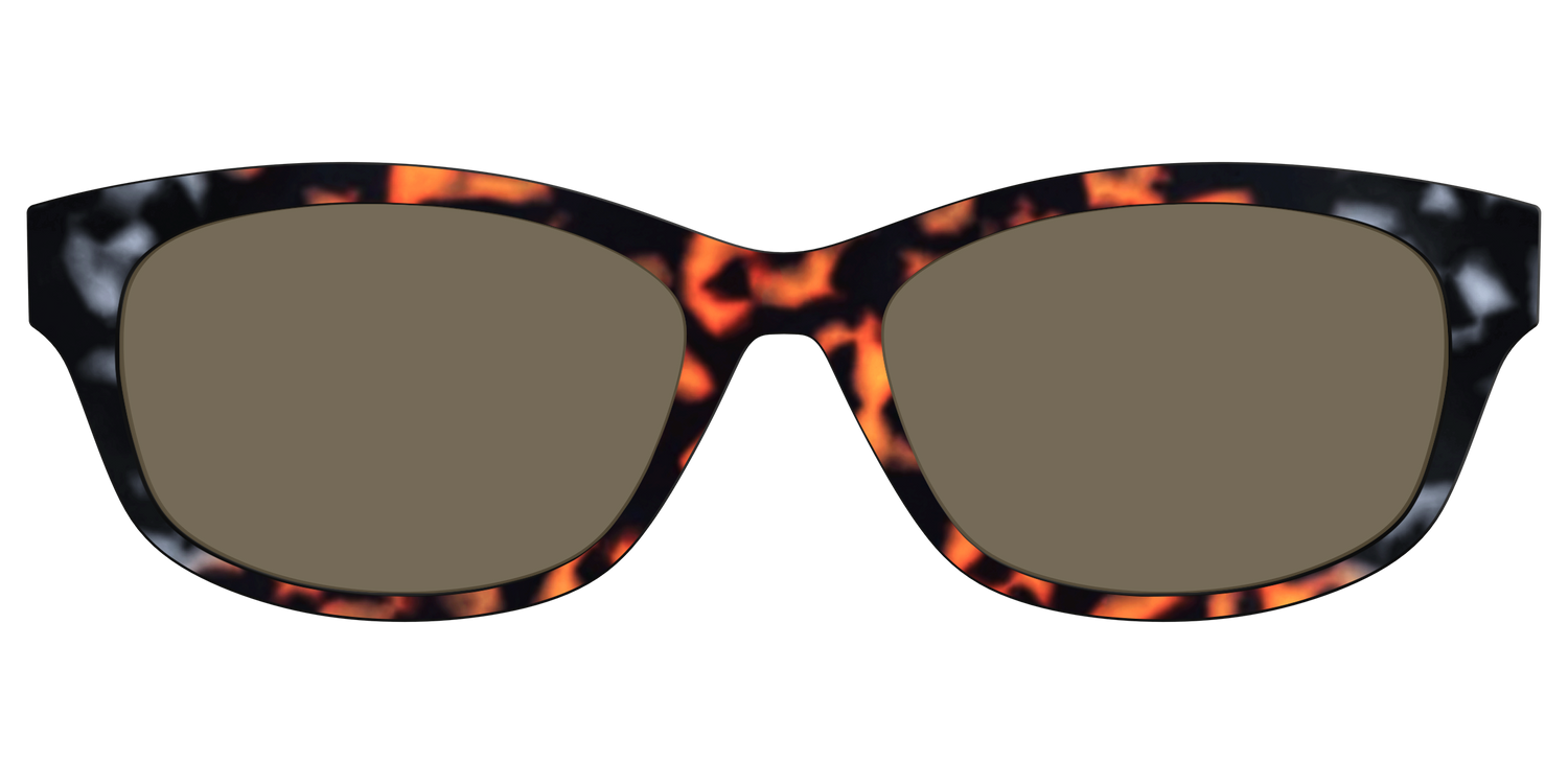 The Polarized Gray & Amber Tortoise Sun Top - Front Top Image - Pair Eyewear