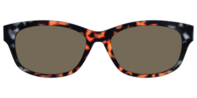 The Polarized Gray & Amber Tortoise Sun Top - Front Top Thumbnail - Pair Eyewear