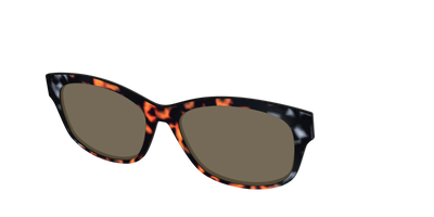 The Polarized Gray & Amber Tortoise Sun Top - Angle Top Thumbnail - Pair Eyewear