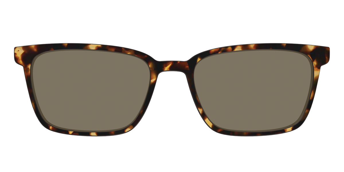 The Non-Polarized Tortoise Sun Top - Front Top Image - Pair Eyewear