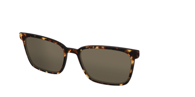 The Non-Polarized Tortoise Sun Top - Angle Top Thumbnail - Pair Eyewear