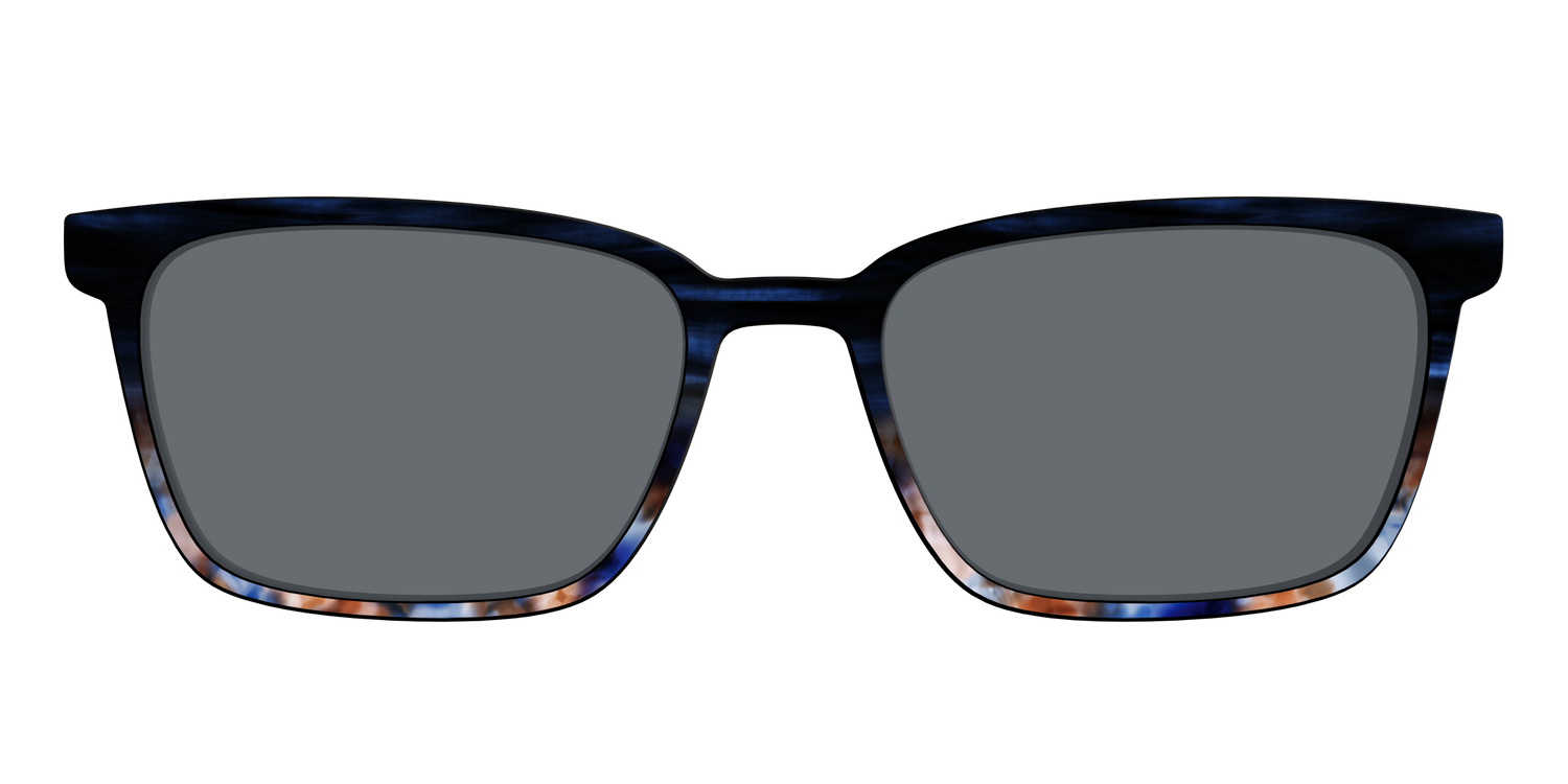 The Polarized Blue Horn Tortoise Sun Top - Front Top Image - Pair Eyewear