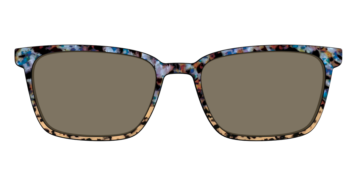 The Polarized Oasis Tortoise Split Sun Top - Front Top Image - Pair Eyewear