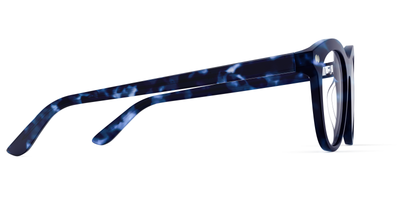 blue tortoise