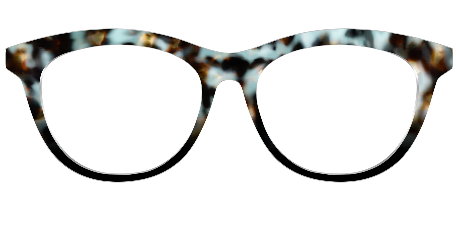 The Academic Tortoise - Front Top Image - Pair Eyewear