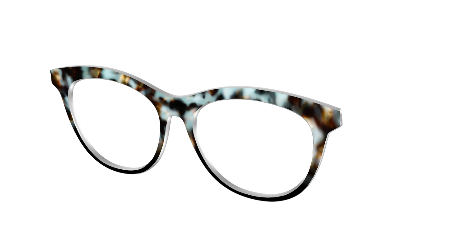 The Academic Tortoise - Angle Top Image - Pair Eyewear