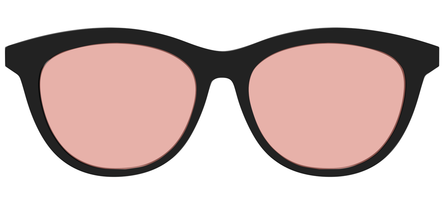 The Black With Coral Pink Lens - Front Top Image - Pair Eyewear