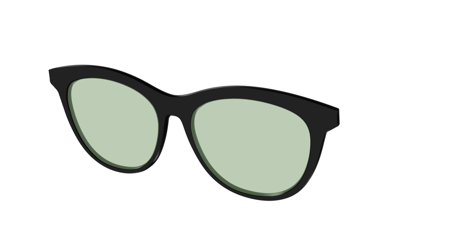The Black With Sage Green Lens - Angle Top Image - Pair Eyewear