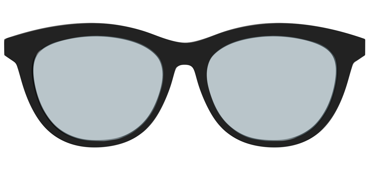 The Black With Slate Blue Lens - Front Top Image - Pair Eyewear