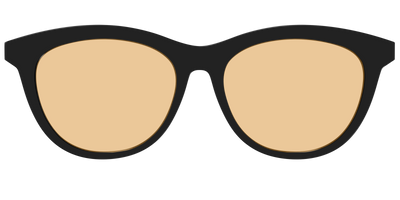 The Black With Umber Brown Lens - Front Top Thumbnail - Pair Eyewear