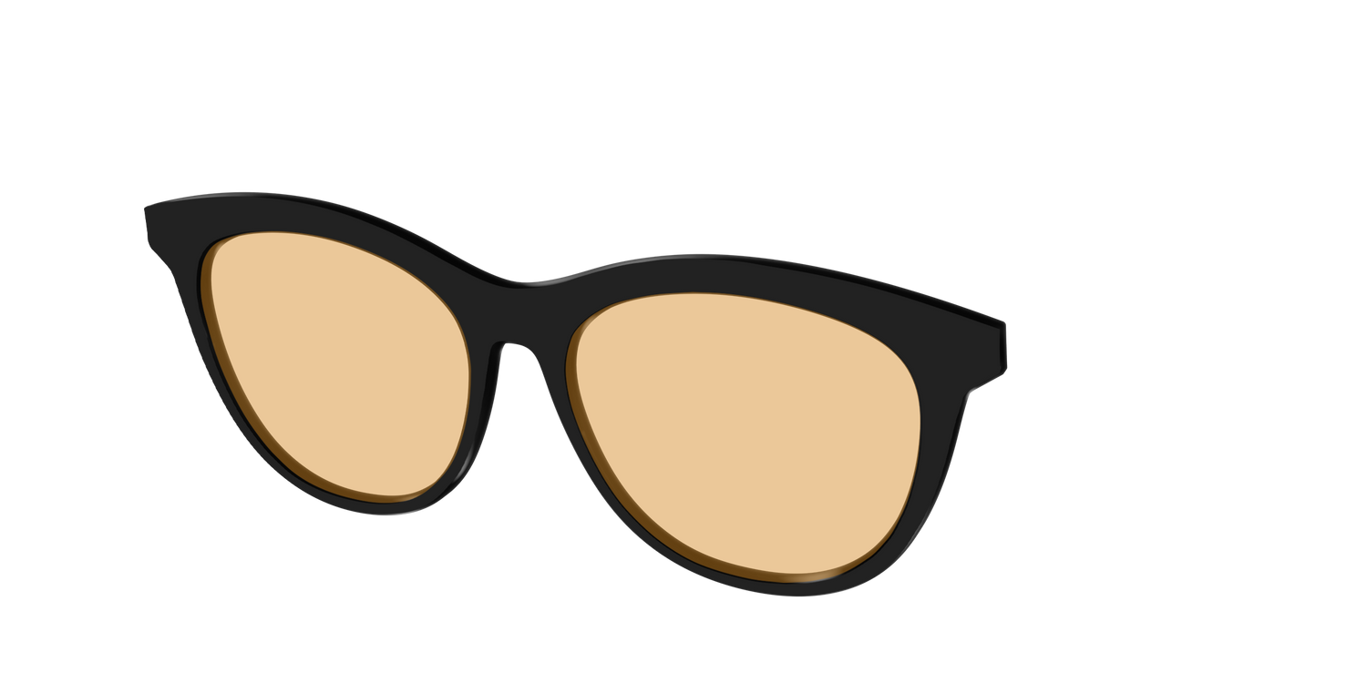The Black With Umber Brown Lens - Angle Top Image - Pair Eyewear