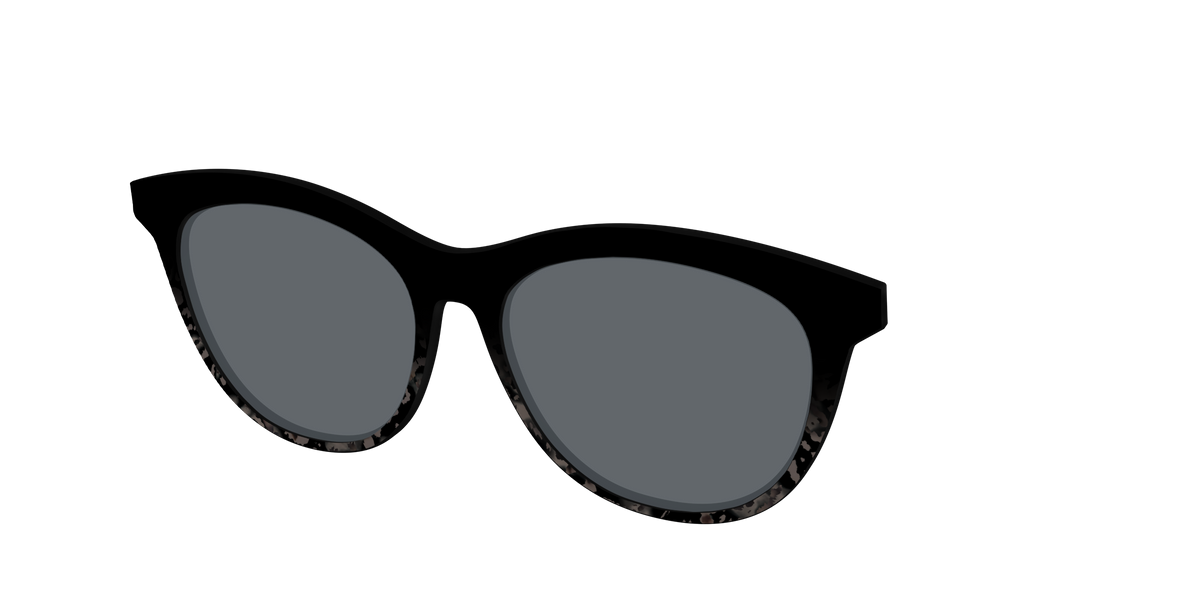 The Polarized Shaded Tortoise Sun Top - Angle Top Image - Pair Eyewear