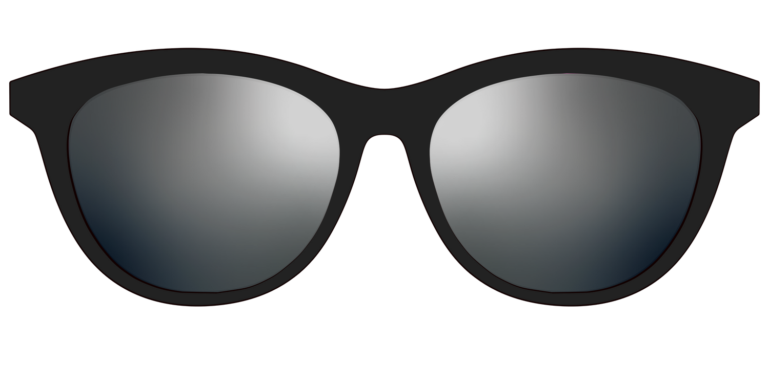 The Polarized Silver Reflective Sun Top