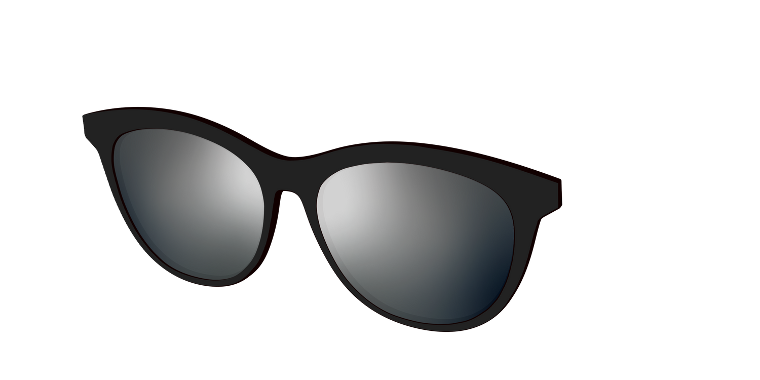 The Polarized Silver Reflective Sun Top