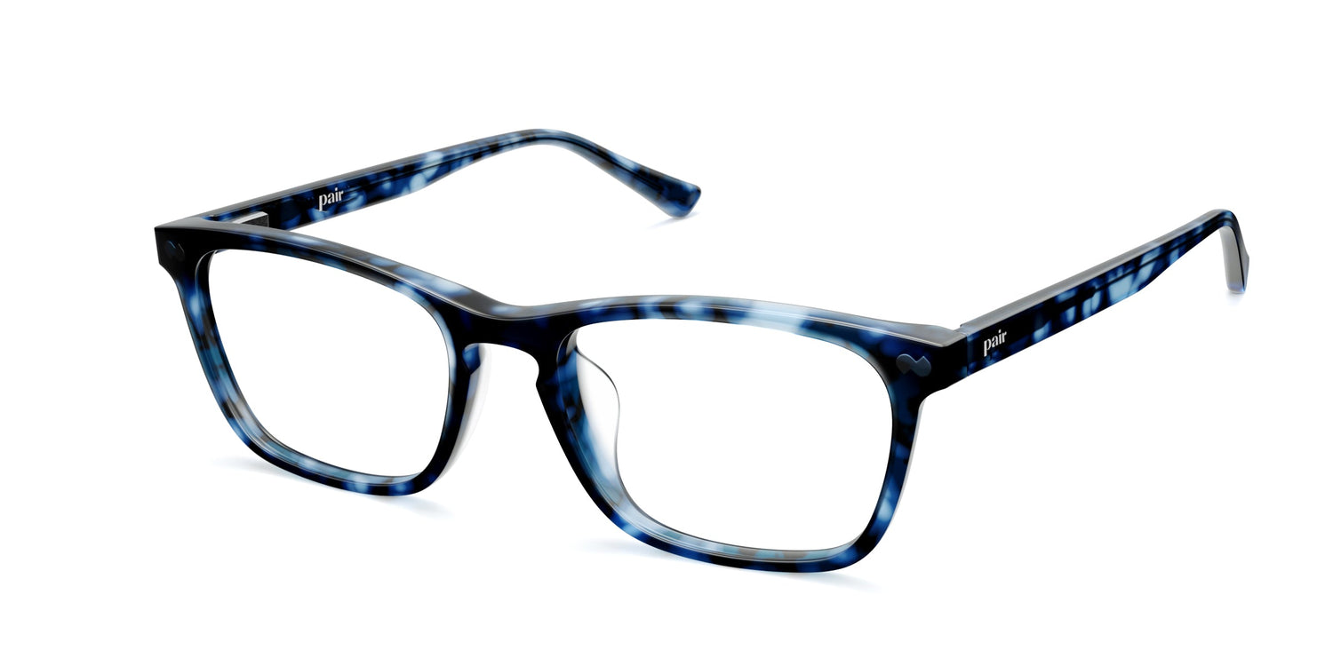 blue tortoise