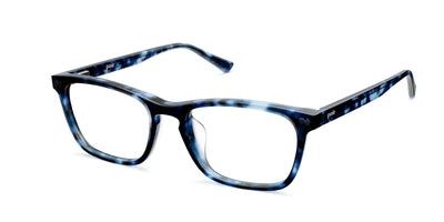 blue tortoise