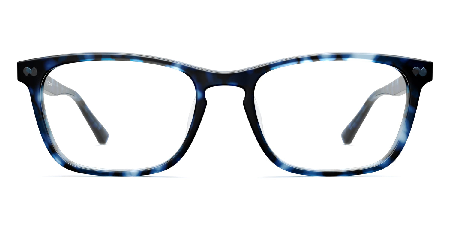 blue tortoise