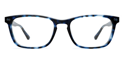 blue tortoise