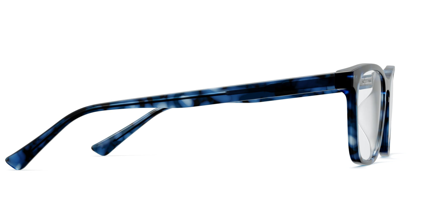 blue tortoise