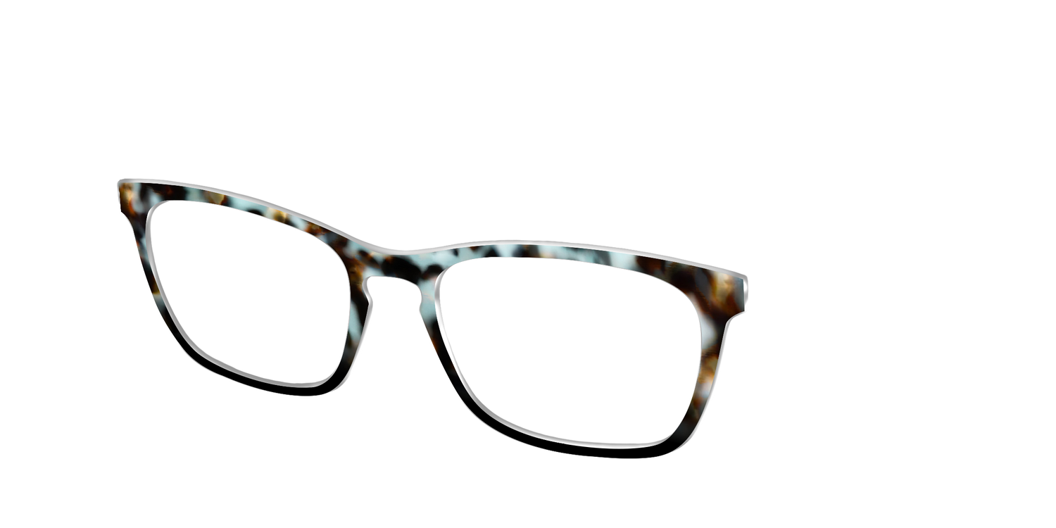 The Academic Tortoise - Angle Top Image - Pair Eyewear