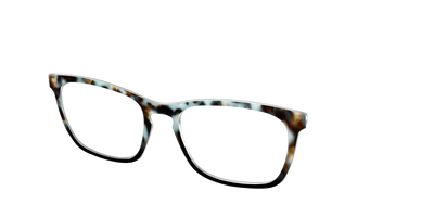 The Academic Tortoise - Angle Top Thumbnail - Pair Eyewear