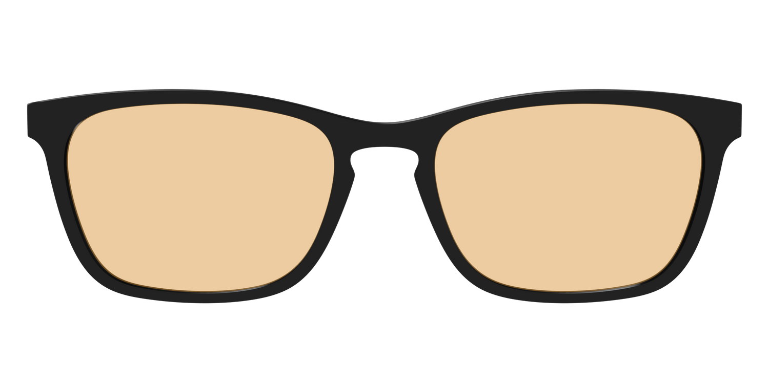 The Black With Umber Brown Lens - Front Top Image - Pair Eyewear