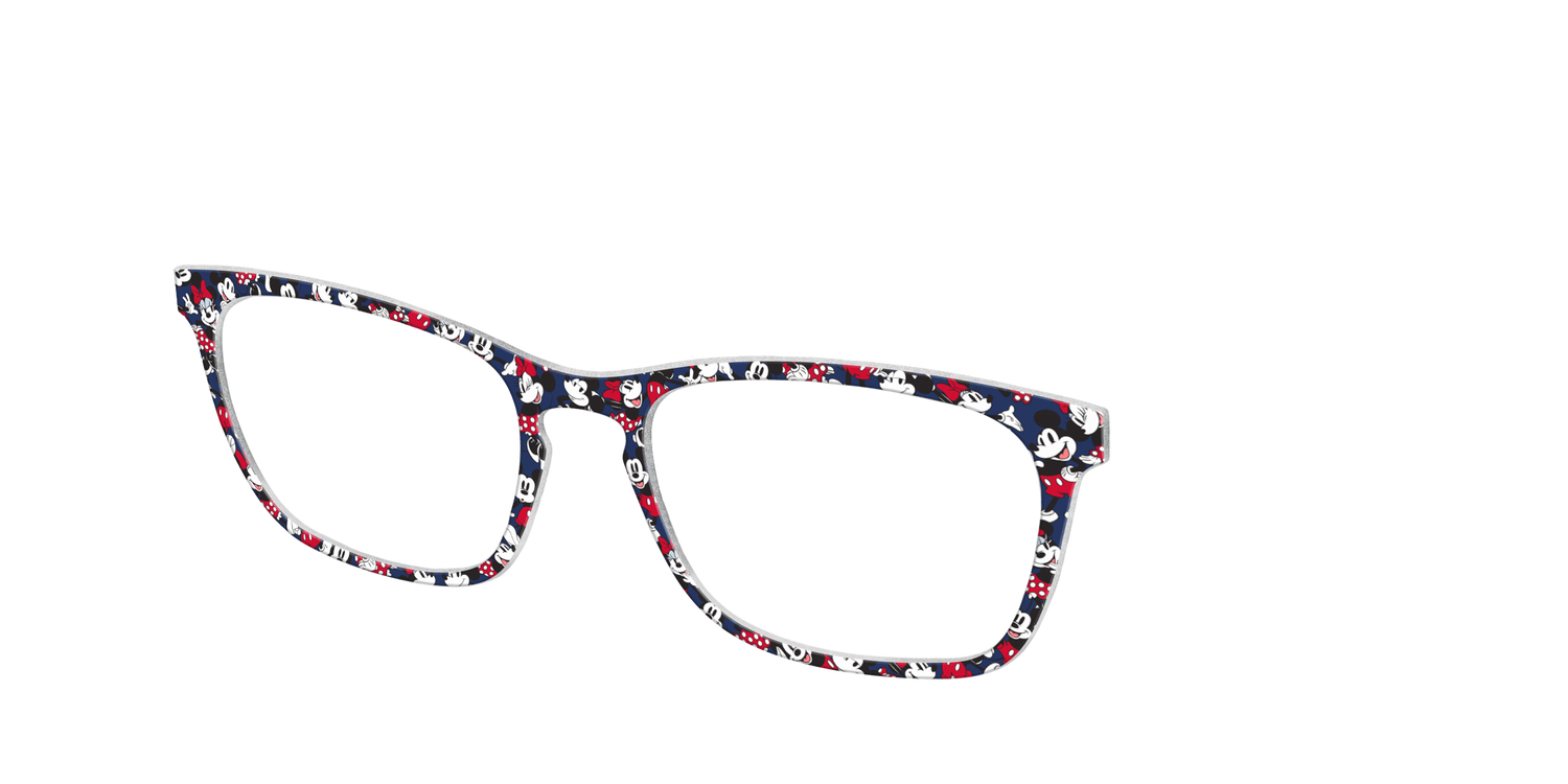 The Mickeys & Minnies - Angle Top Image - Pair Eyewear