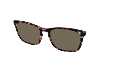 The Polarized Gray & Amber Tortoise Sun Top - Angle Top Thumbnail - Pair Eyewear