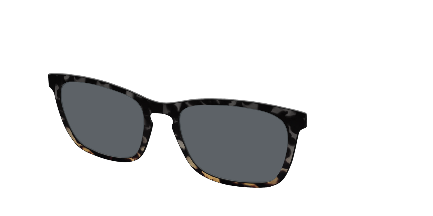 The Polarized Shadow Tortoise Sun Top - Angle Top Image - Pair Eyewear