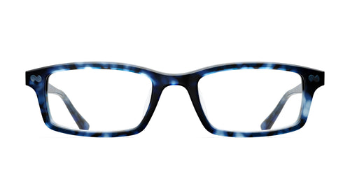 blue tortoise