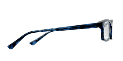 blue tortoise