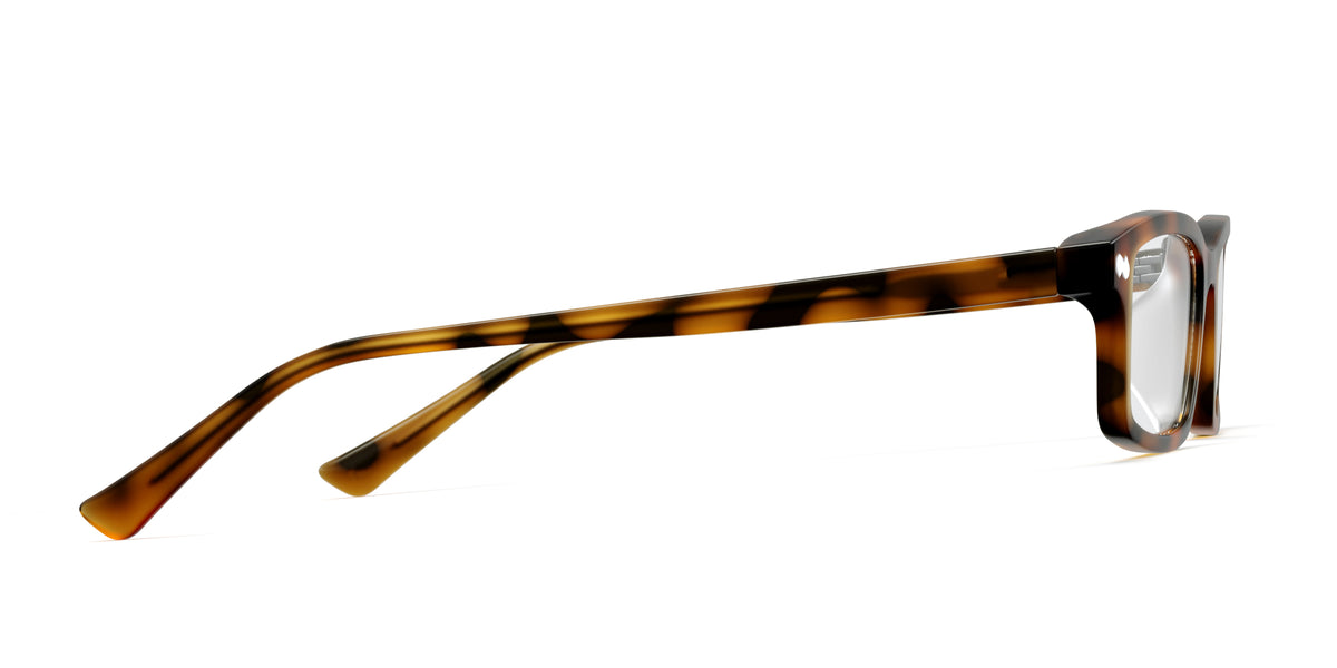 The Cedro - Carousel 3 - Pair Eyewear