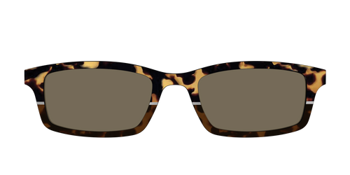 The Polarized Chic Tortoise Split Sun Top - Pair Eyewear
