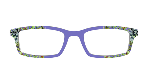 The Cuddly Koalas - Pair Eyewear