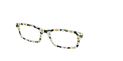 The Delicate Daisies - Angle Top Thumbnail - Pair Eyewear