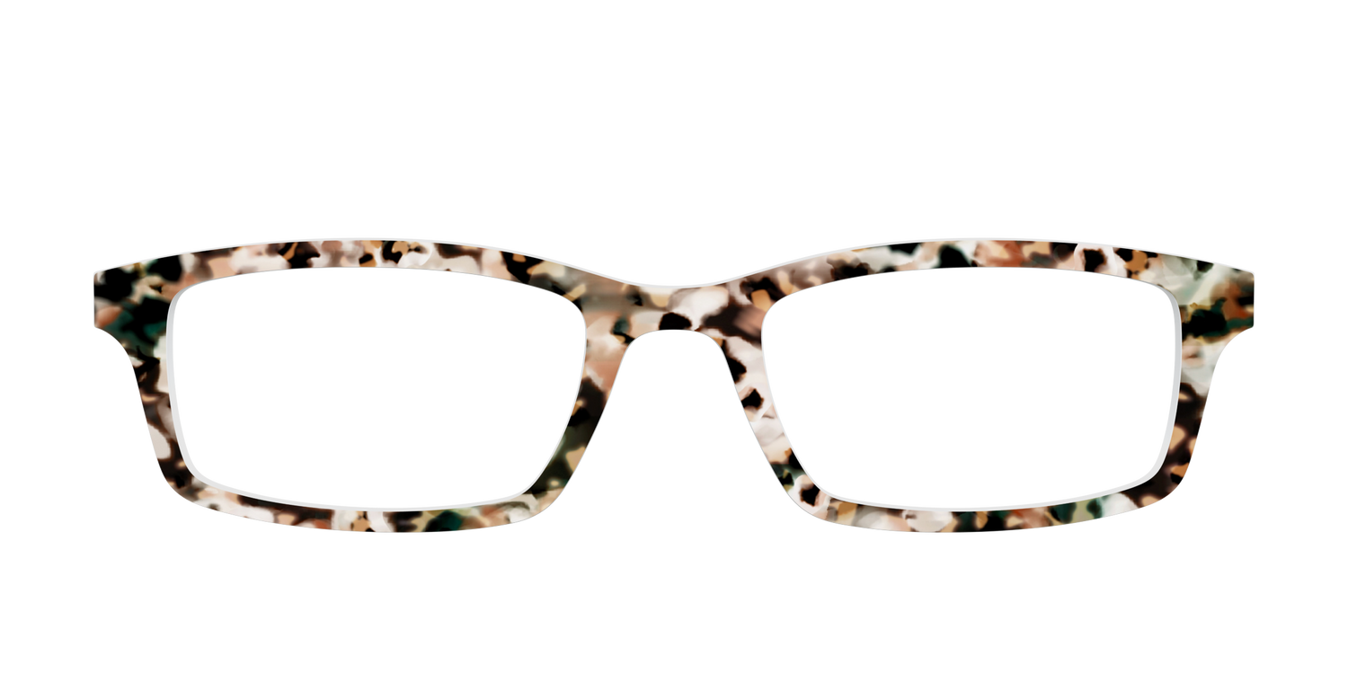 The Fortress Tortoise - Front Top Image - Pair Eyewear