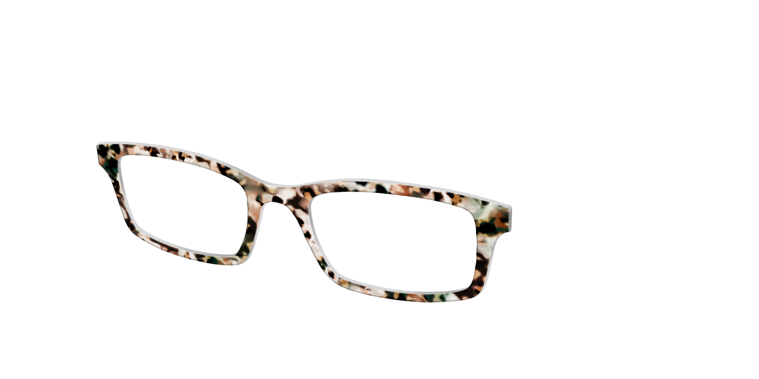 The Fortress Tortoise - Angle Top Image - Pair Eyewear