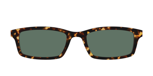 The Non-Polarized Green Tortoise Sun Top - Pair Eyewear