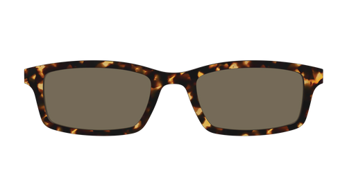 The Non-Polarized Tortoise Sun Top - Pair Eyewear